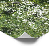 Vuurtoren Kaap Agulhas 1849 Poster (Hoek)