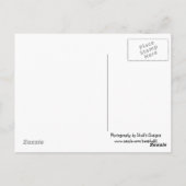 vuurtoren - Kauai, Hawaii Briefkaart (Achterkant)