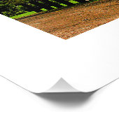 Vuurtoren met de naam Jesus Fine Art Photography Foto Afdruk (Hoek)