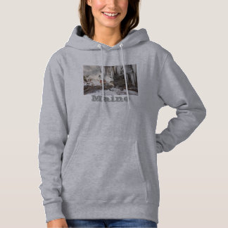 vuurtoren met een pemaquïd punt aan de kust van Ma Hoodie