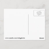 vuurtoren op Peggy's Cove Briefkaart (Achterkant)