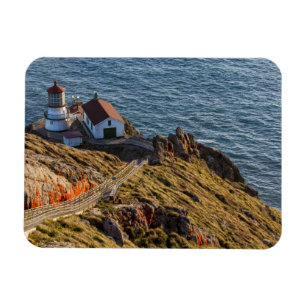 vuurtoren op punt Reyes National Seashore Magneet