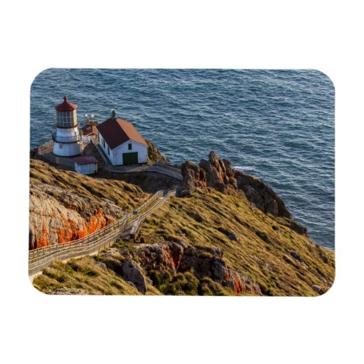 vuurtoren op punt Reyes National Seashore Magneet (Horizontaal)