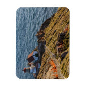 vuurtoren op punt Reyes National Seashore Magneet (Verticaal)