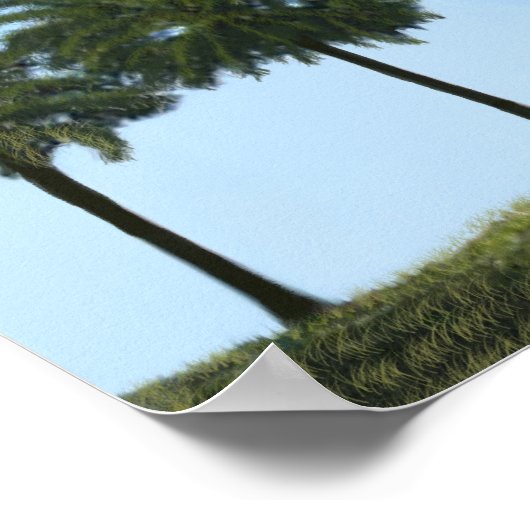 vuurtoren van biloxi poster (Hoek)