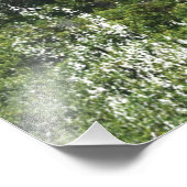 vuurtoren van Cape Agulhas 1849 Foto Afdruk (Hoek)