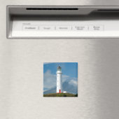 vuurtoren van Cape Egmont en Mt Taranaki/Mt Magneet (Insitu (Vaatwasser))