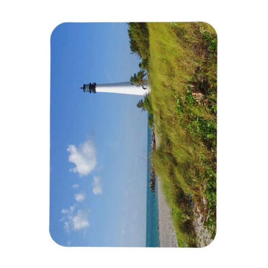 vuurtoren van Cape Florida Magneet (Verticaal)