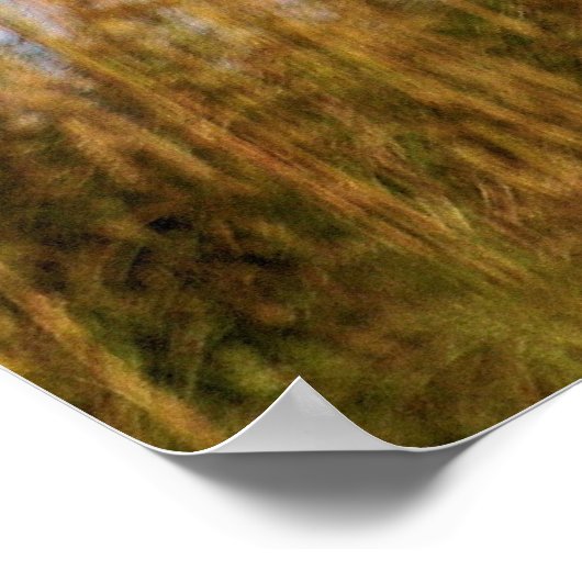 vuurtoren van Cape Hatteras - Dune Uitzicht Poster (Hoek)