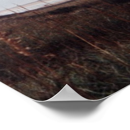 vuurtoren van Cape Hatteras Poster (Hoek)