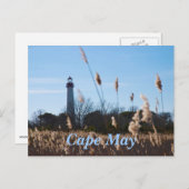 vuurtoren van Cape May Briefkaart (Voorkant / Achterkant)