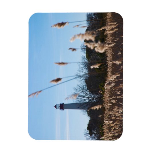 vuurtoren van Cape May Magneet (Verticaal)