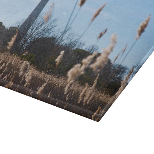 vuurtoren van Cape May Snijplank (Hoek)