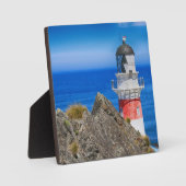 Vuurtoren van Cape Palliser New Zealand Fotoplaat (Voorkant)