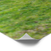 vuurtoren van de Fanad Head | Donegal, Ierland Poster (Hoek)