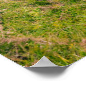 vuurtoren van de Fanad Head | Donegal, Ierland Poster (Hoek)