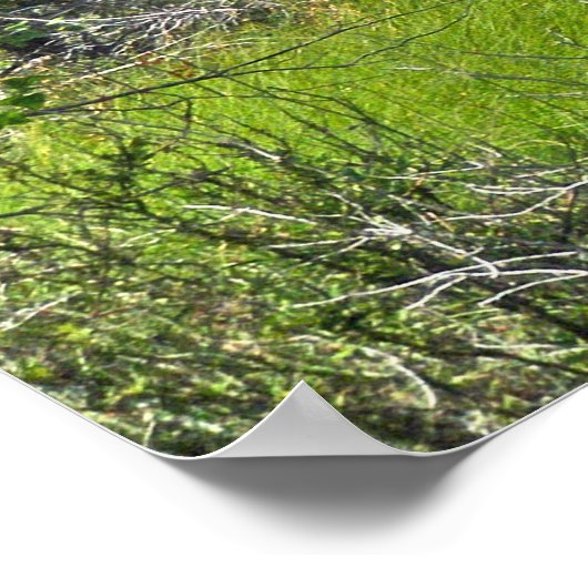 Vuurtoren van de poster Cape Hatteras uit Wetlands (Hoek)