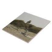 vuurtoren van de rivier de Coquille, OF Tegeltje (Zijkant)