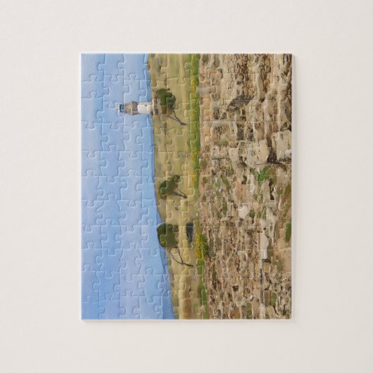 vuurtoren van de waterverf legpuzzel (Verticaal)