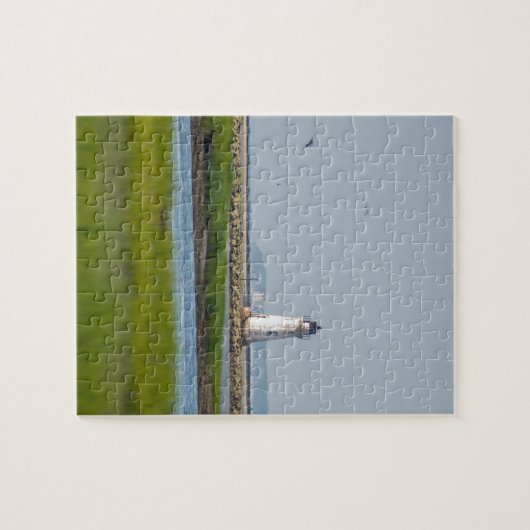 vuurtoren van het cockpureiland savannah georgia legpuzzel (Horizontaal)