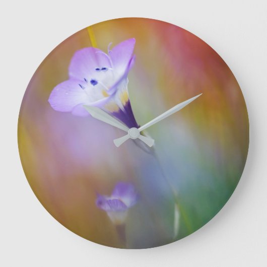 vuurtoren van het oude punt Loma | Monument Cabril Grote Klok (Voorkant)