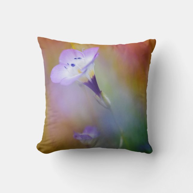 vuurtoren van het oude punt Loma | Monument Cabril Kussen (Voorkant)