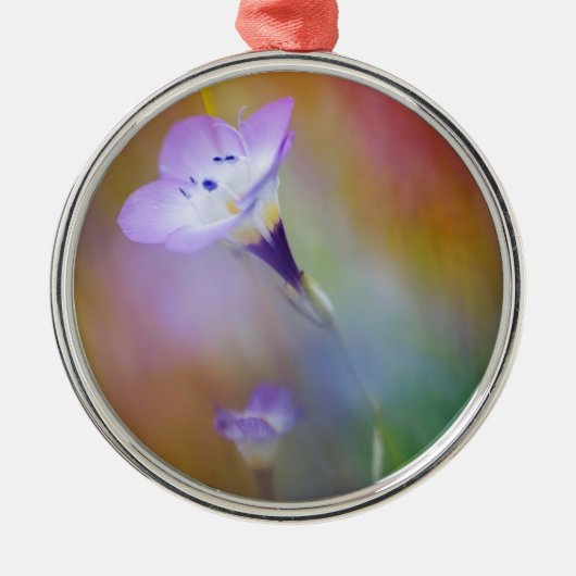 vuurtoren van het oude punt Loma | Monument Cabril Metalen Ornament (Voorkant)