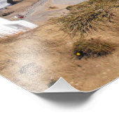 vuurtoren van Nieuw-Zeeland Foto Afdruk (Hoek)