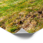 vuurtoren van Skarsviti, IJsland Poster (Hoek)