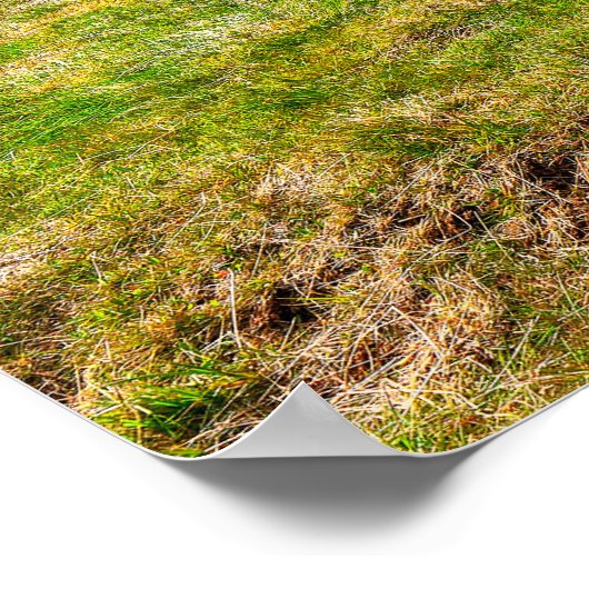 vuurtoren van Skarsviti, IJsland Poster (Hoek)