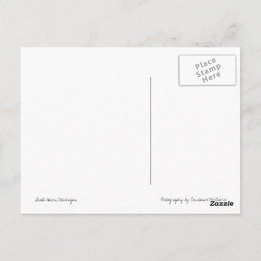 Vuurtoren van South Haven Michigan Briefkaart (Achterkant)