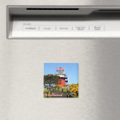 vuurtoren van VLIELAND, Nederlandse Frisiaanse eil Magneet (Insitu (Vaatwasser))