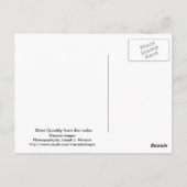vuurtoren van West Quoddy Briefkaart (Achterkant)