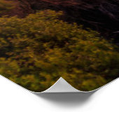 vuurtoren | Vuurtoren Cape Brett Nieuw-Zeeland Poster (Hoek)