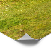 vuurtoren | vuurtoren van Fanad Head Ierland Poster (Hoek)