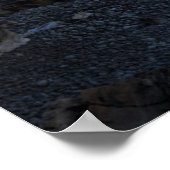 vuurtoren | vuurtoren van Kaap Elizabeth Maine Poster (Hoek)