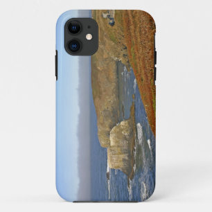 Vuurtoren Yaquina Head bij Newport Oregon Case-Mate iPhone Case