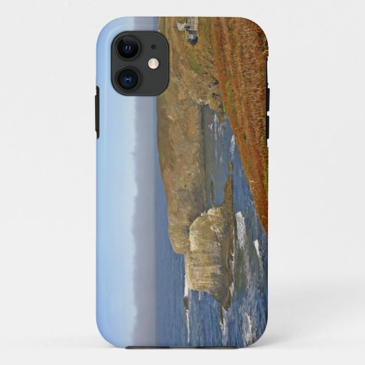 Vuurtoren Yaquina Head bij Newport Oregon Case-Mate iPhone Case (Achterkant)