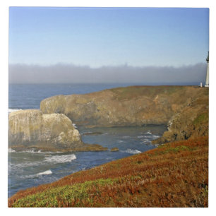 Vuurtoren Yaquina Head bij Newport Oregon Tegeltje