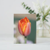 Vuurventilator Briefkaart (Staand voorkant)