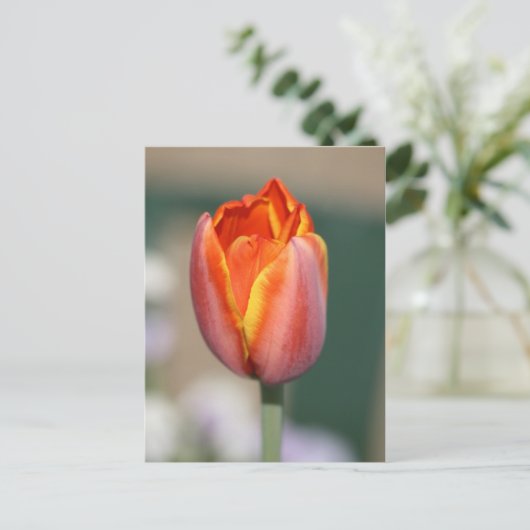 Vuurventilator Briefkaart (Staand voorkant)