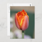 Vuurventilator Briefkaart (Voorkant / Achterkant)