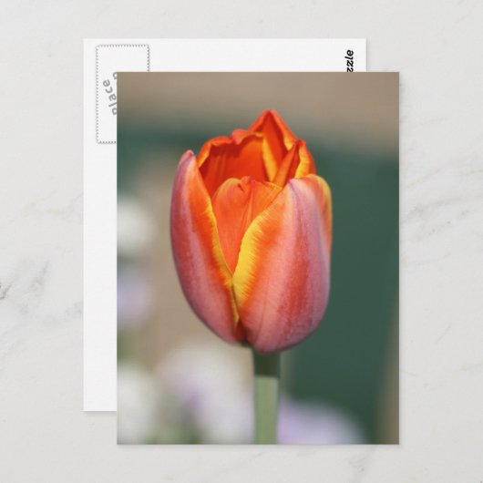 Vuurventilator Briefkaart (Voorkant / Achterkant)