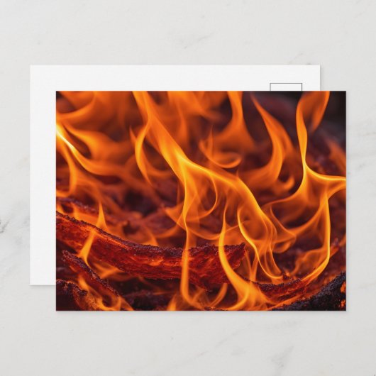 Vuurvlam macro briefkaart (Voorkant / Achterkant)