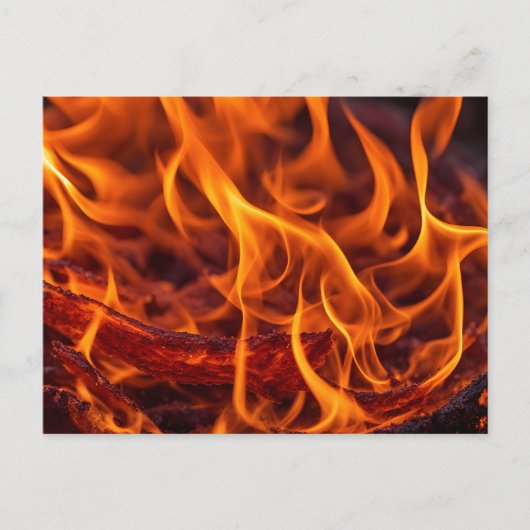 Vuurvlam macro briefkaart (Voorkant)