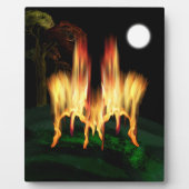 Vuurvliegen Fotoplaat (Voorkant)