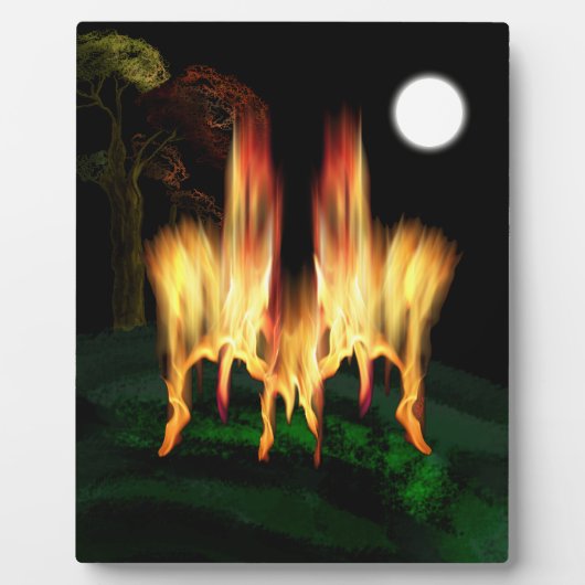 Vuurvliegen Fotoplaat (Voorkant)