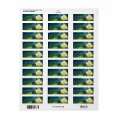 Vuurvliegen + Mason Jar Rustieke Nachtelijke Adres Etiket (Full Sheet)