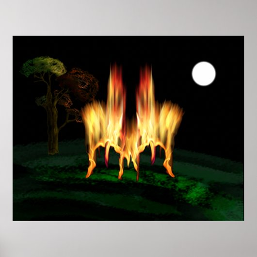 Vuurvliegen Poster (Voorkant)