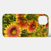 Vuurvliegers Gaillardia pulchella) Case-Mate iPhone Case (Achterkant (horizontaal))